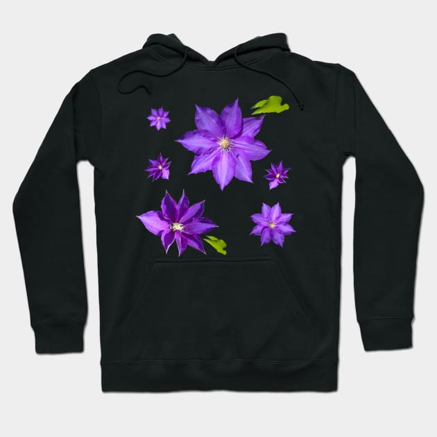 Purple Clematis Flower Grouping Hoodie by Moonlit Midnight Arts